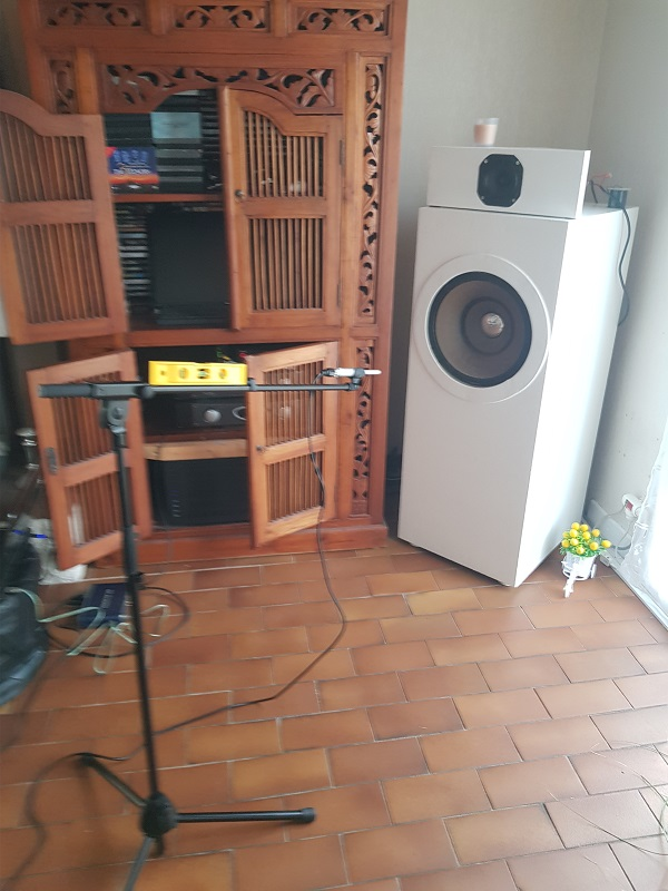 Micro dans l'axe du haut-parleur de 38 cm